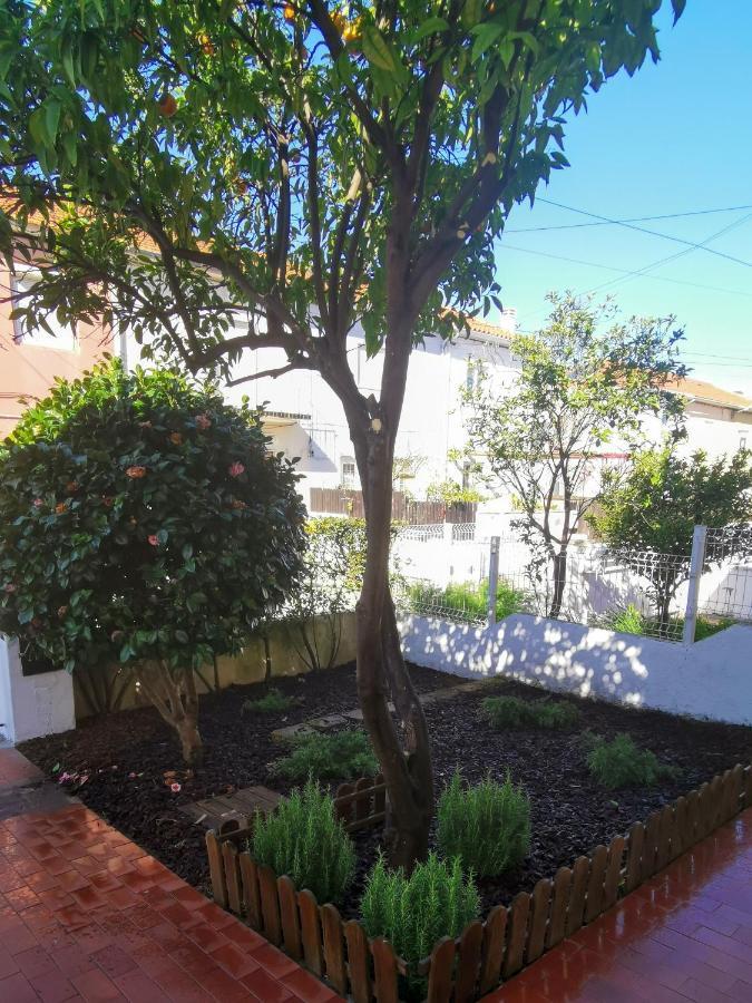 Villa Coimbra - Casa Inteira Exterior foto